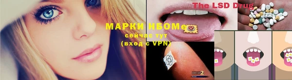 ГАЛЛЮЦИНОГЕННЫЕ ГРИБЫ Беломорск