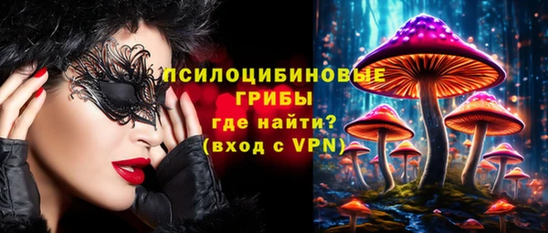 ГАЛЛЮЦИНОГЕННЫЕ ГРИБЫ Беломорск