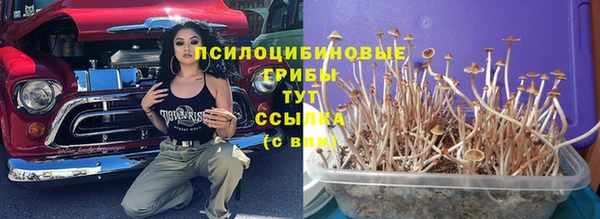 ГАЛЛЮЦИНОГЕННЫЕ ГРИБЫ Беломорск
