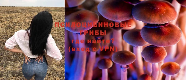 мдма Белокуриха