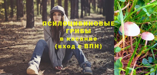 ГАЛЛЮЦИНОГЕННЫЕ ГРИБЫ Беломорск